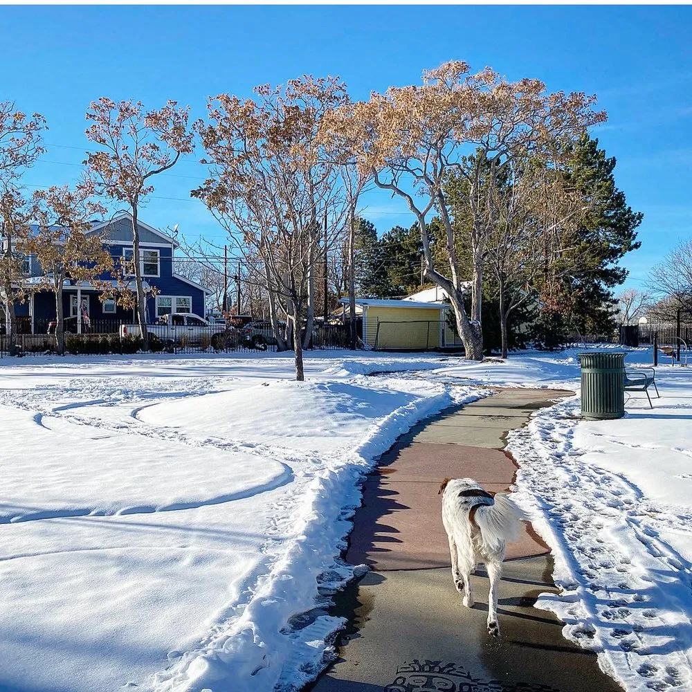 Local residential landscaping for outdoor upgrades across Denver, CO - Blooming Scapes