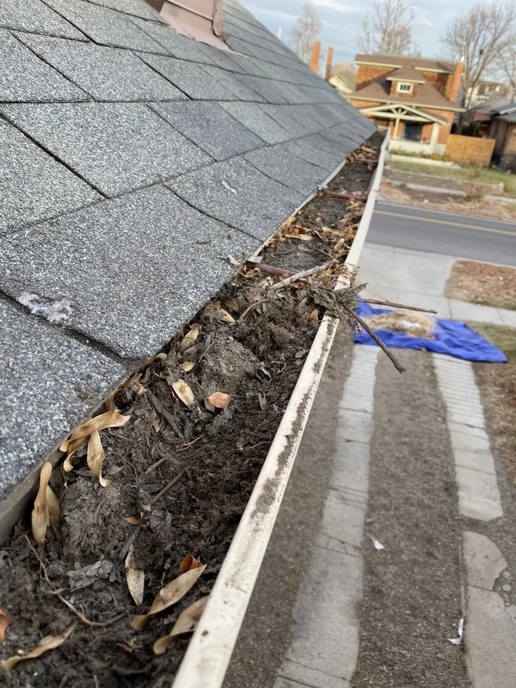 Custom outdoor landscaping in Denver, CO - Blooming Scapes