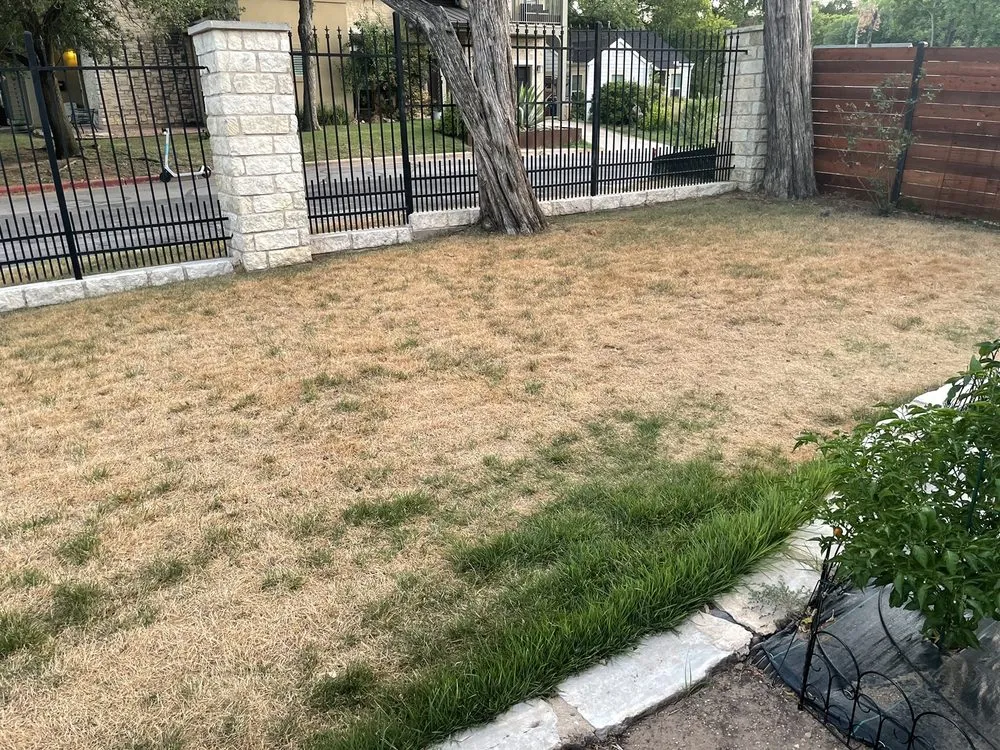 Reliable garden landscaping in Austin, TX by BLOOMING SEASONS