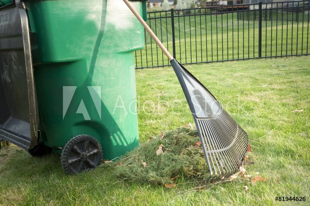 Affordable lawn care service in Austin, TX by BLOOMING SEASONS