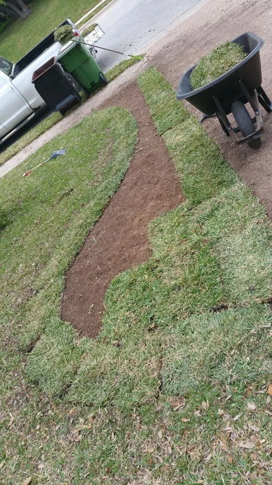 Affordable lawn mowing service with custom design in Austin, TX by BLOOMING SEASONS