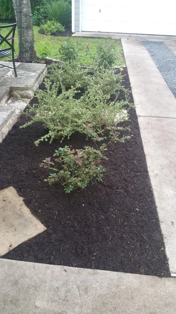 Local yard cleanup service experts serving Austin, TX - BLOOMING SEASONS