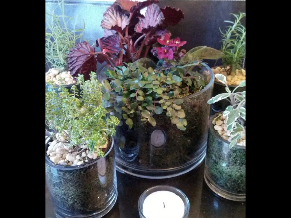 Local landscape installation near you in New York, NY by Blooming Urban Design Scapes