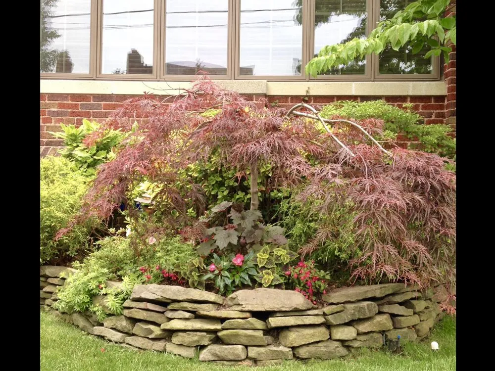 Professional landscaping services in New York, NY - Blooming Urban Design Scapes