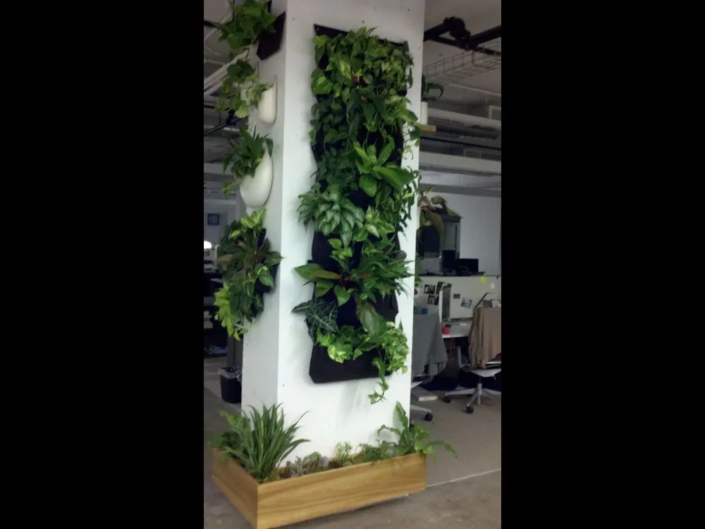 Trusted lawn care service in New York, NY by Blooming Urban Design Scapes