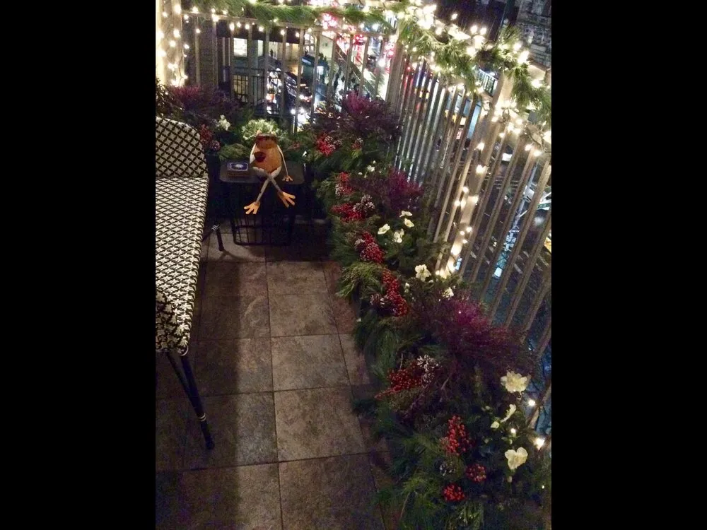 Professional landscape installation for homes in New York, NY by Blooming Urban Design Scapes