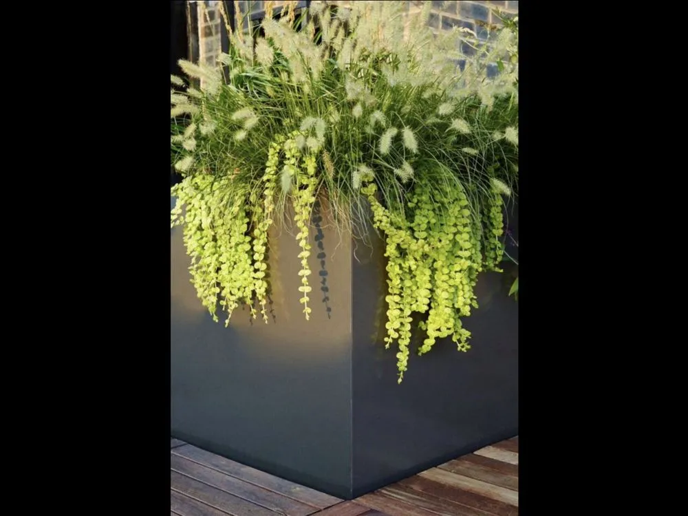 Affordable residential landscaping experts serving New York, NY - Blooming Urban Design Scapes