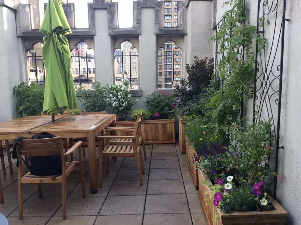 Trusted lawn mowing service in New York, NY - Blooming Urban Design Scapes