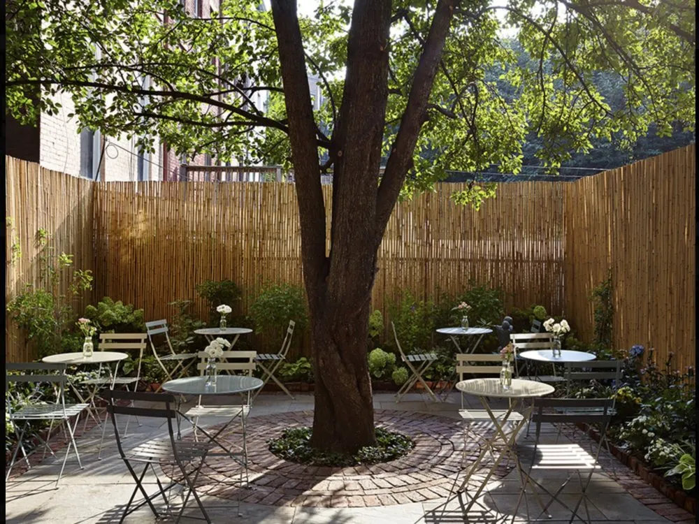 Professional yard maintenance near you across New York, NY - Blooming Urban Design Scapes