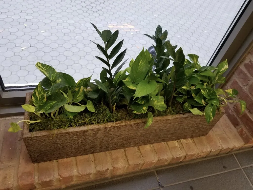 Trusted residential landscaping with custom design in New York, NY by Blooming Urban Design Scapes