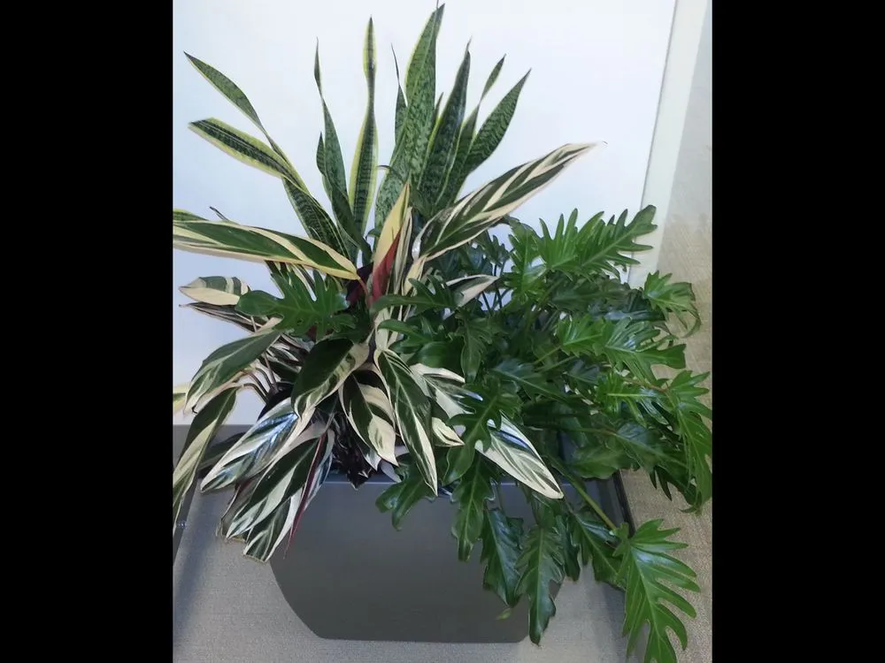 Expert residential landscaping in New York, NY by Blooming Urban Design Scapes