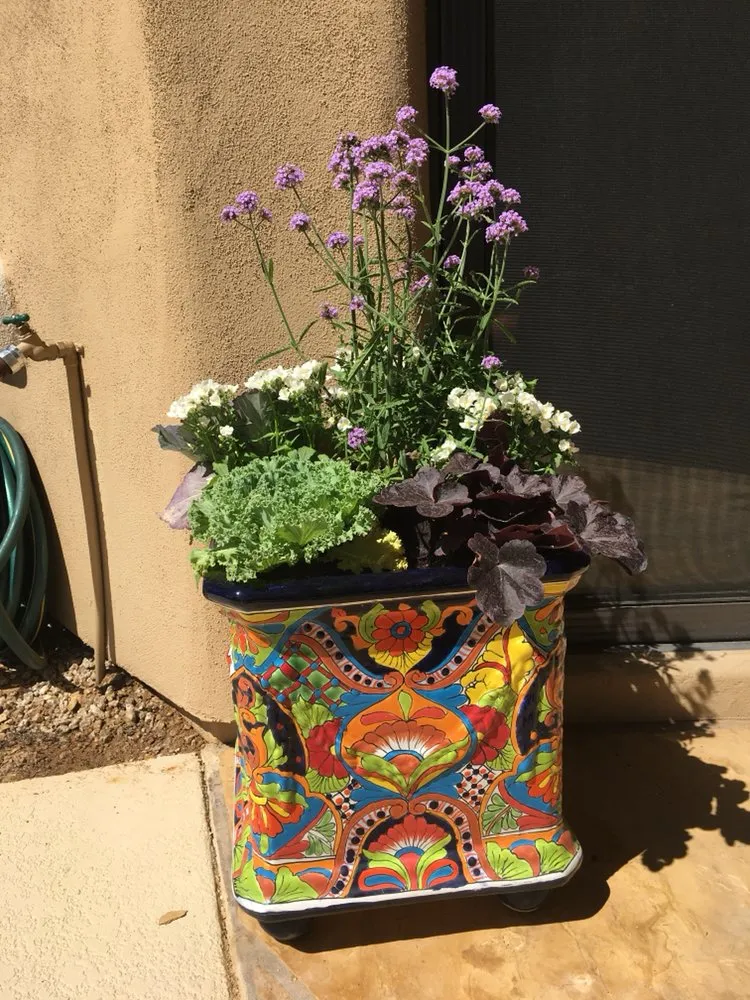 Top-rated residential landscaping experts serving Scottsdale, AZ - Blooming Valley Landscape