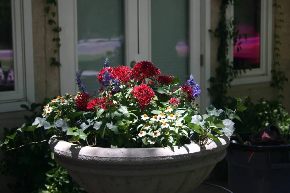 Expert landscaping services experts serving Scottsdale, AZ - Blooming Valley Landscape