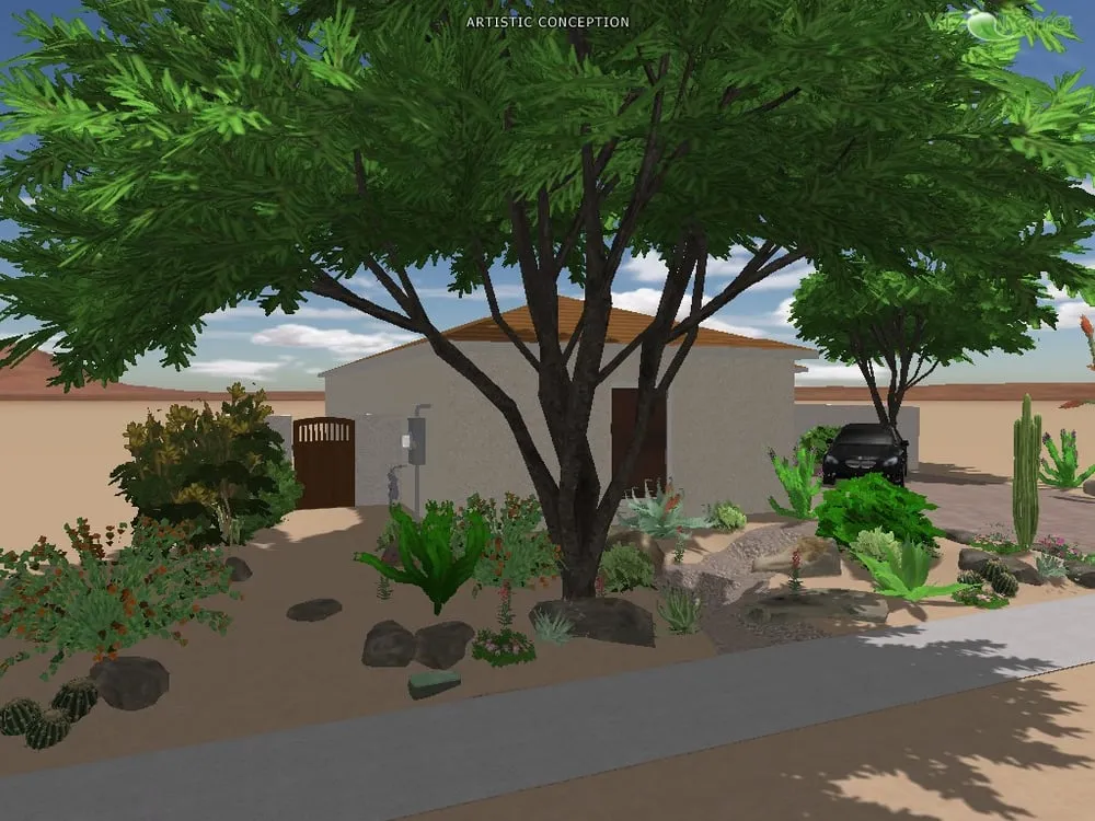 Local yard maintenance in Scottsdale, AZ - Blooming Valley Landscape