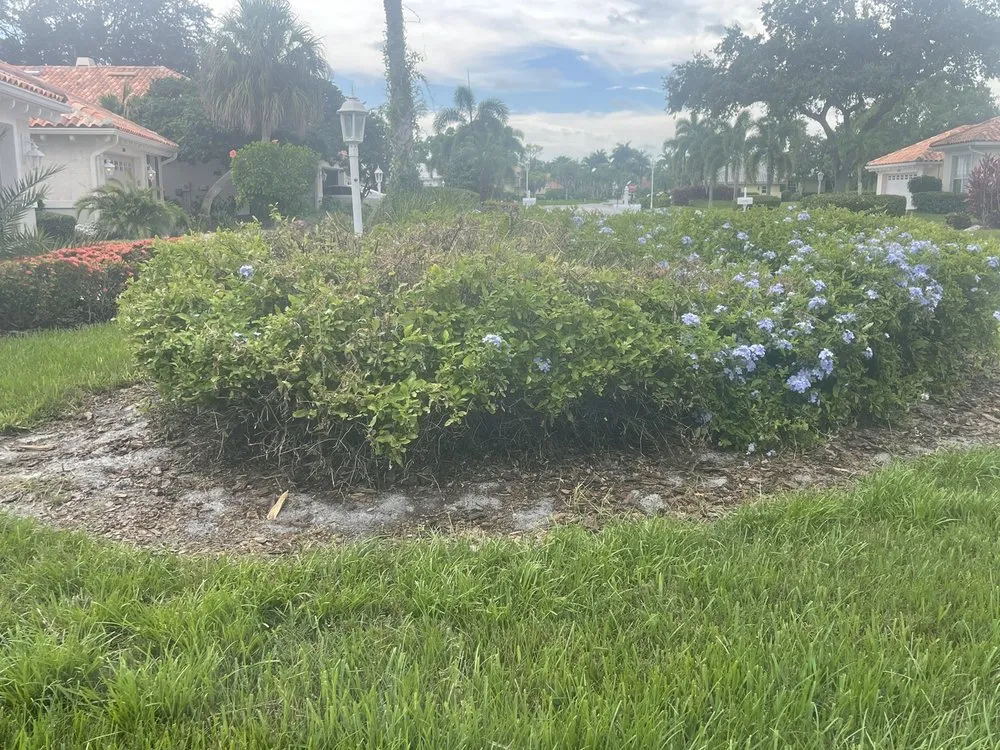 Local lawn care service for outdoor upgrades across Sarasota, FL - Bloomings Landscape & Turf Management