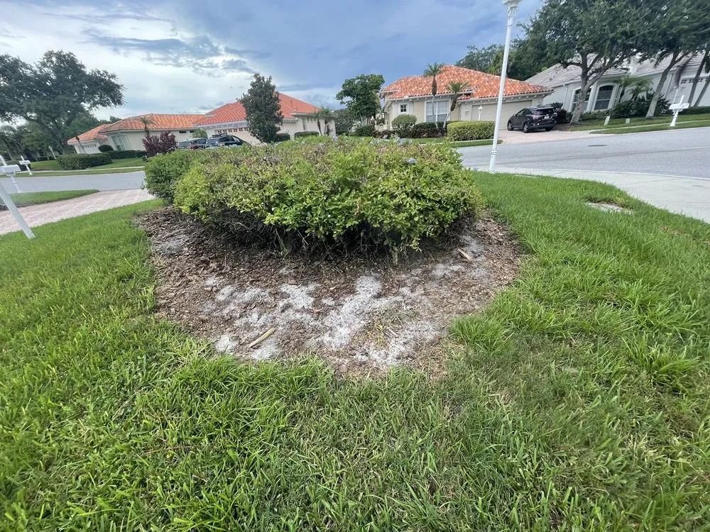 Local lawn mowing service for year-round maintenance across Sarasota, FL - Bloomings Landscape & Turf Management