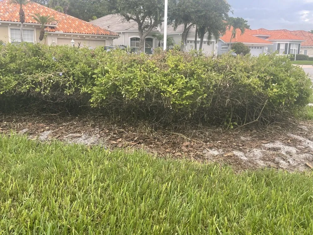 Custom yard cleanup service for homes across Sarasota, FL - Bloomings Landscape & Turf Management