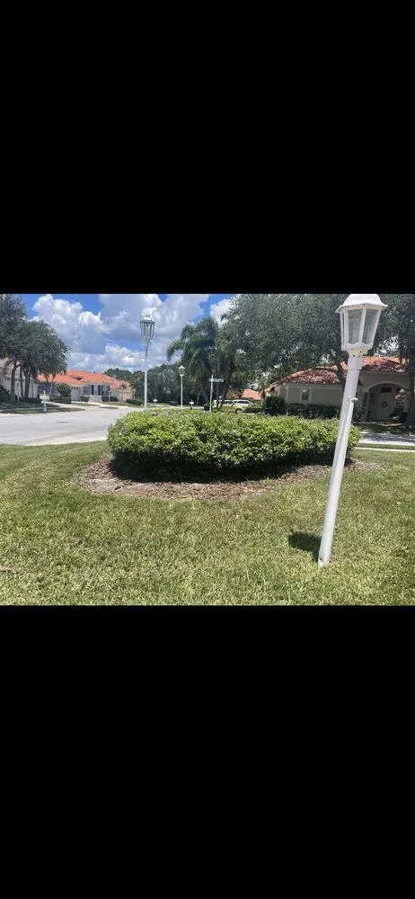 Reliable yard maintenance for homes in Sarasota, FL by Bloomings Landscape & Turf Management