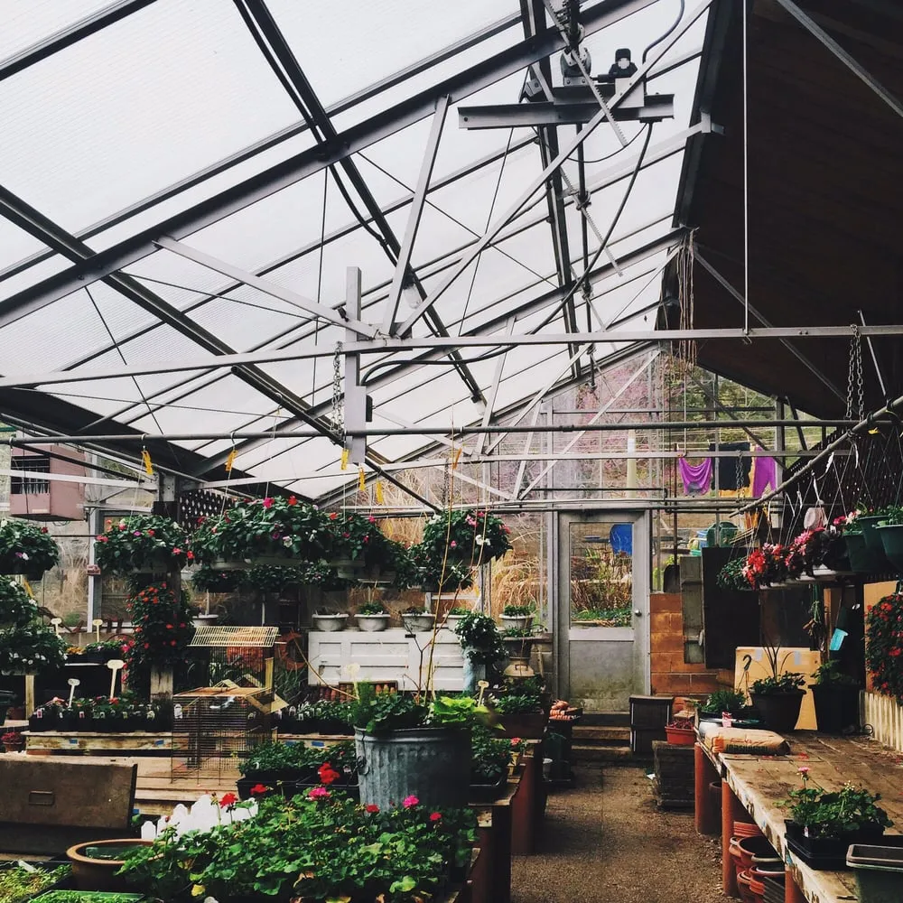 Professional yard maintenance near you in Bloomington, MN by Bloomington Garden Center & Landscape Company