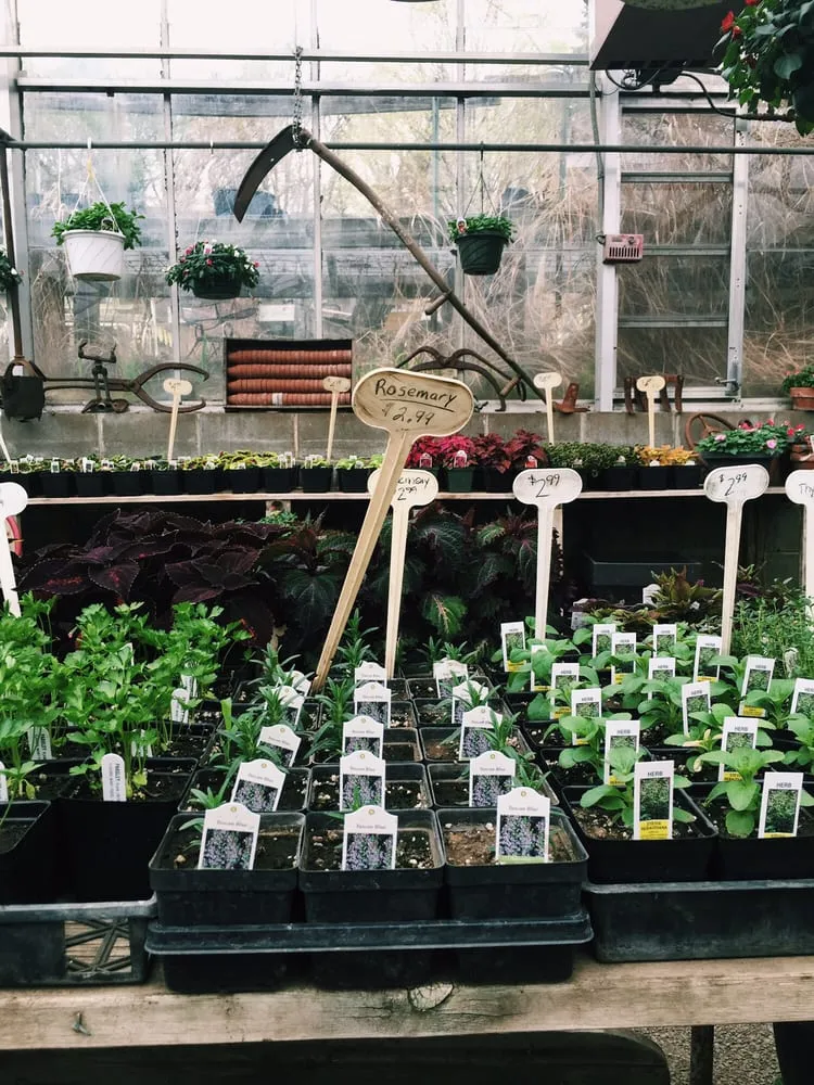 Professional lawn care service in Bloomington, MN - Bloomington Garden Center & Landscape Company