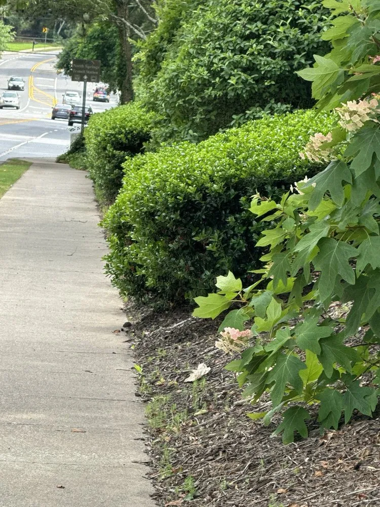 Custom yard cleanup service for year-round maintenance across Mableton, GA - Bloom'n Gardens Landscape