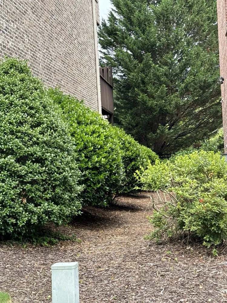 Professional outdoor landscaping experts serving Mableton, GA - Bloom'n Gardens Landscape