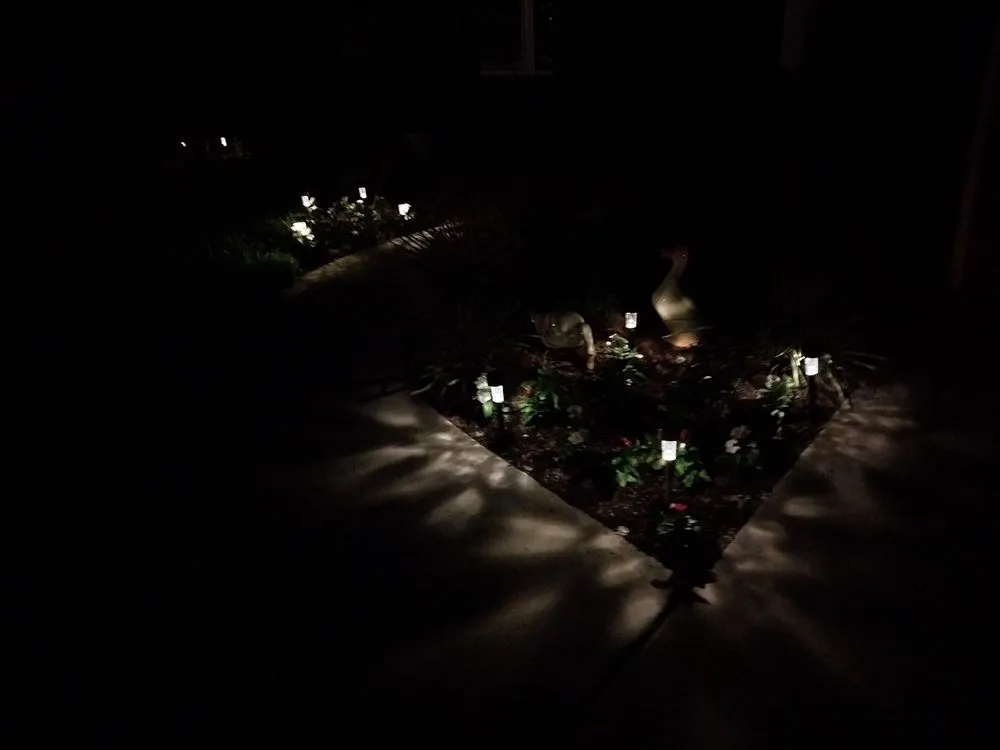 Local lawn care service near you across Macclenny, FL - Blooms & Blossoms Lawn Care