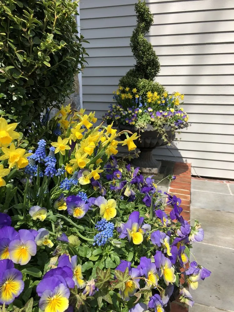 Local yard cleanup service for year-round maintenance in Stamford, CT by Blooms & Branches Design Co