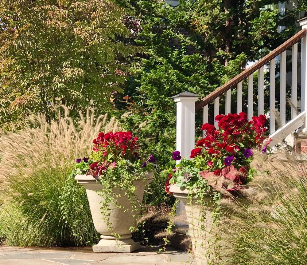 Expert yard maintenance in Stamford, CT - Blooms & Branches Design Co