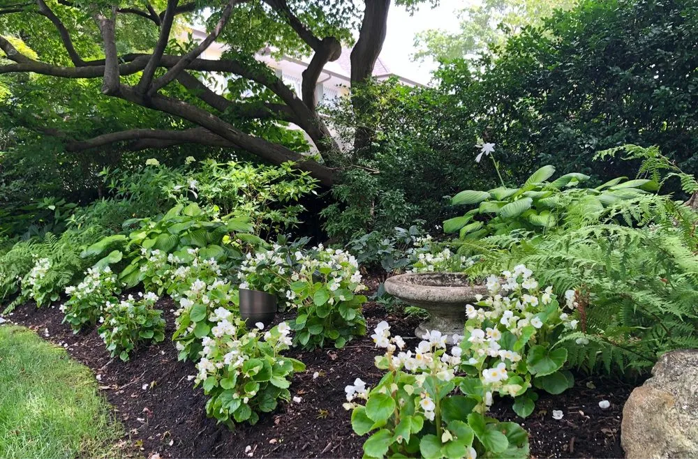 Professional landscaping services for beautiful yards in Stamford, CT by Blooms & Branches Design Co