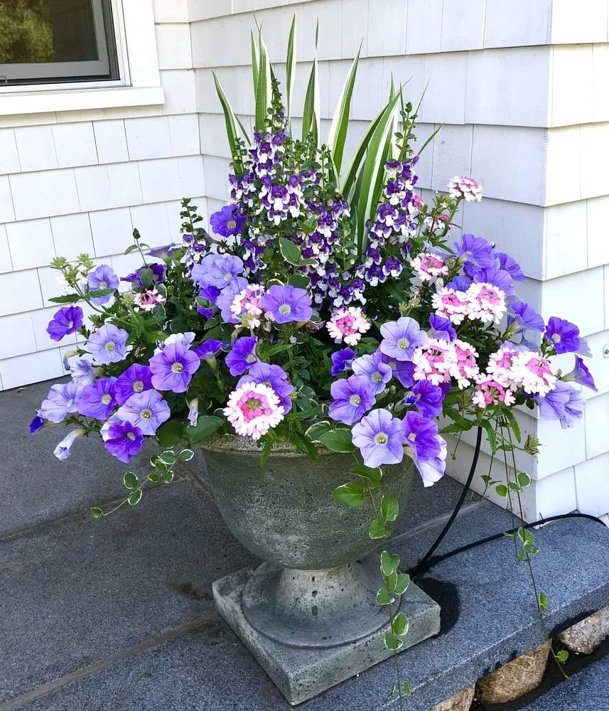 Affordable outdoor landscaping in Stamford, CT - Blooms & Branches Design Co
