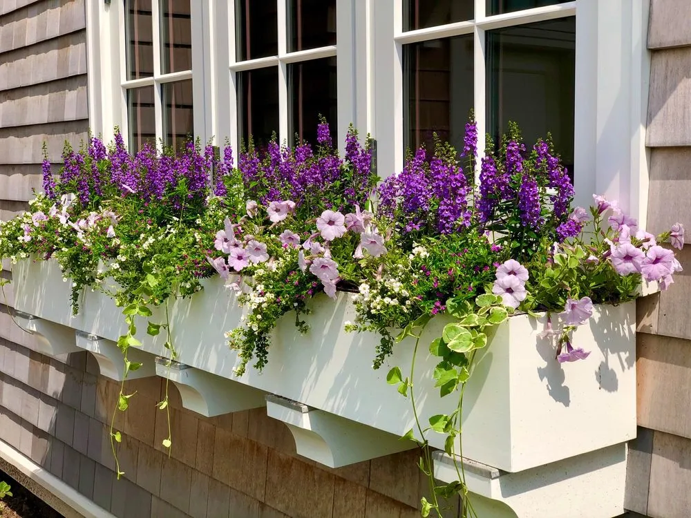 Custom residential landscaping experts serving Stamford, CT - Blooms & Branches Design Co