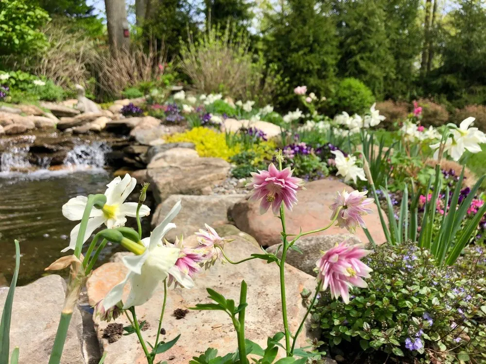 Expert lawn care service in Stamford, CT by Blooms & Branches Design Co