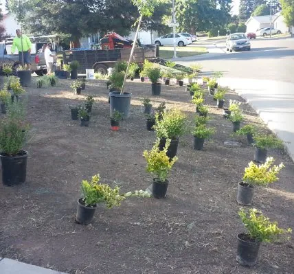 Custom lawn mowing service for beautiful yards in Houston, TX by Blooms by Blanks Landscaping