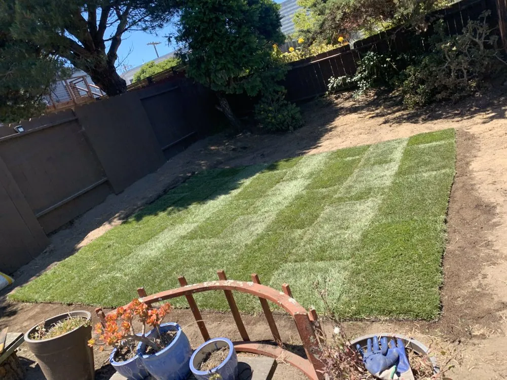 Affordable yard maintenance for homes across San Francisco, CA - Blooms Gardening