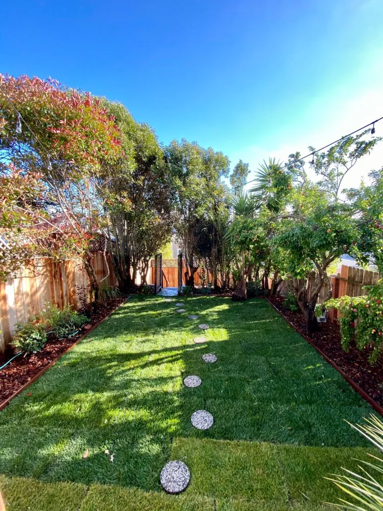 Top-rated lawn mowing service in San Francisco, CA - Blooms Gardening