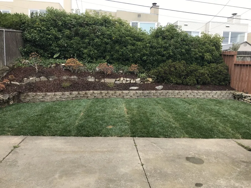 Top-rated outdoor landscaping for year-round maintenance in San Francisco, CA by Blooms Gardening