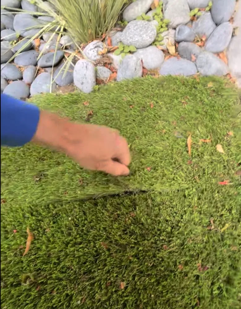 Expert garden landscaping in San Francisco, CA - Blooms Gardening