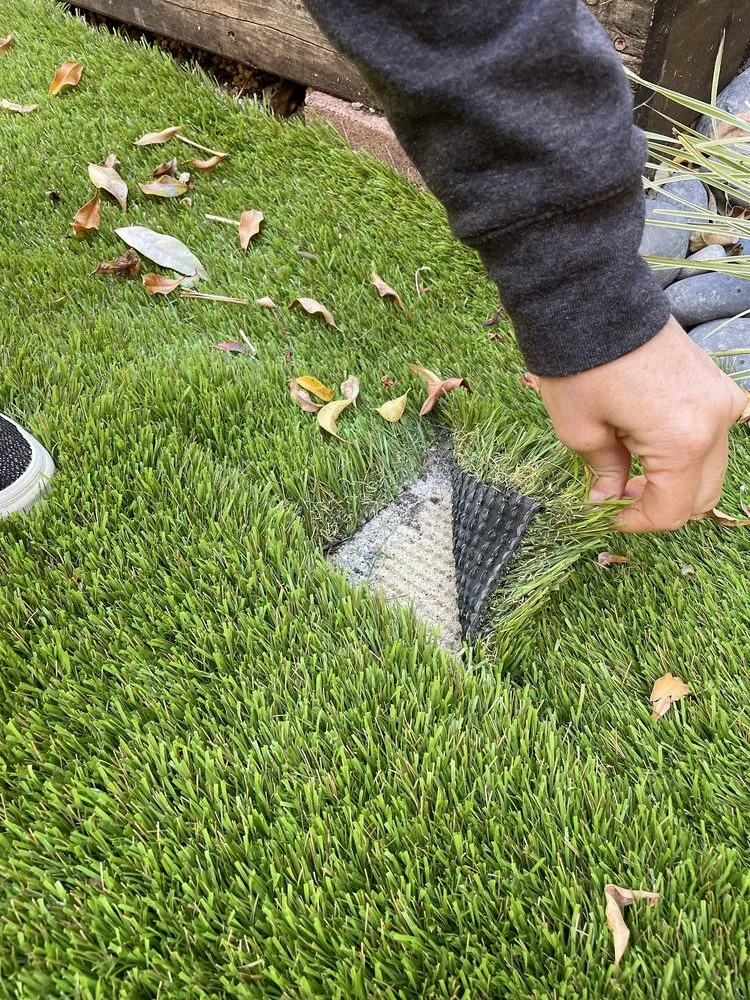 Expert yard cleanup service in San Francisco, CA by Blooms Gardening