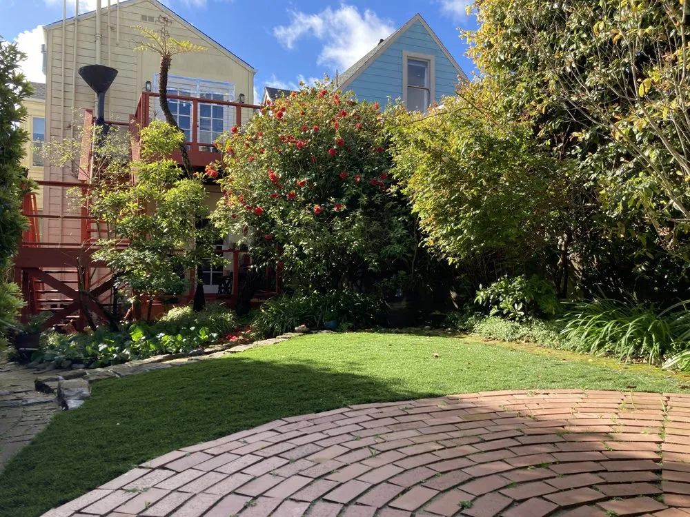 Affordable landscape design in San Francisco, CA by Blooms Gardening