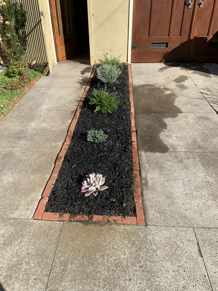 Affordable lawn care service for outdoor upgrades in San Francisco, CA by Blooms Gardening