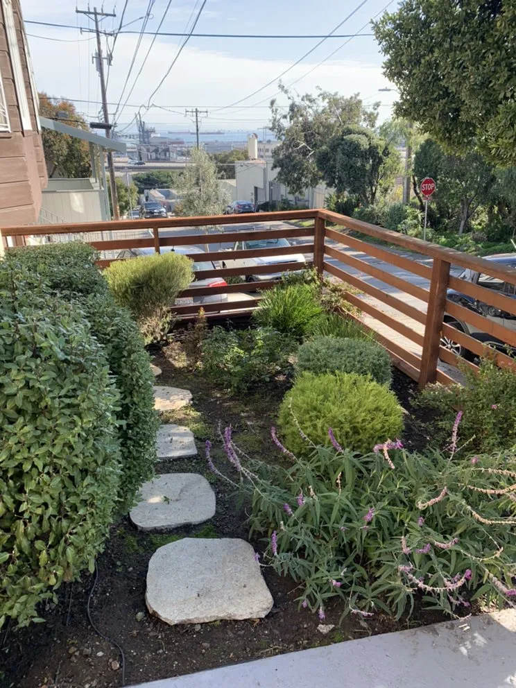 Top-rated landscape installation experts serving San Francisco, CA - Blooms Gardening