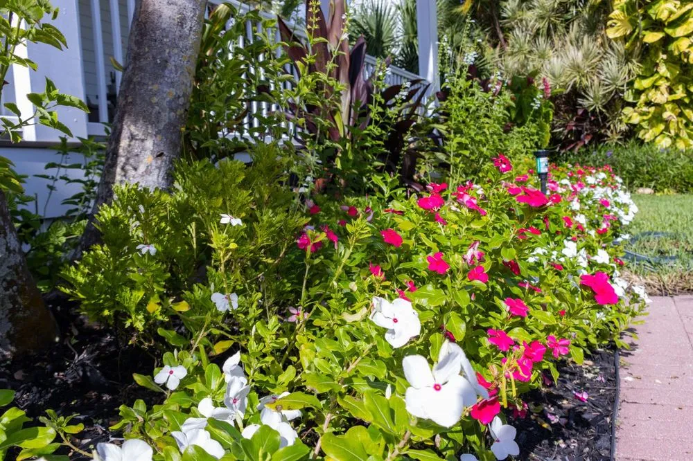 Top-rated landscape design in Fort Myers, FL by Blooms In Grace
