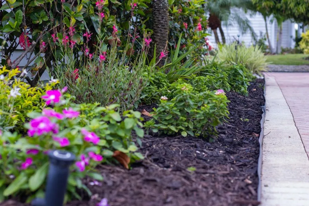 Custom landscape installation in Fort Myers, FL by Blooms In Grace