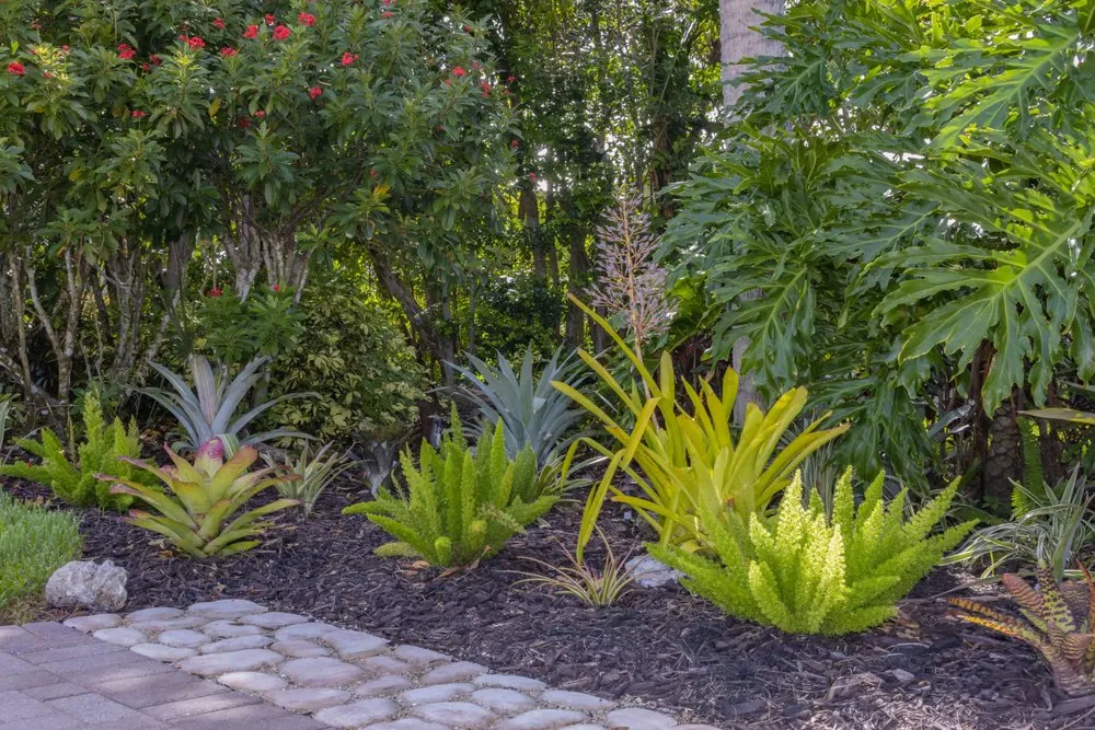 Trusted garden landscaping in Fort Myers, FL - Blooms In Grace