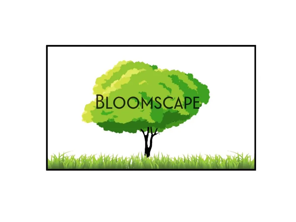 Affordable landscape design in Clarksville, TN by Bloomscape