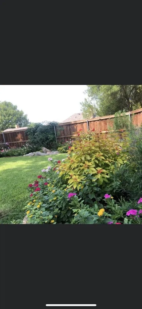 Custom landscape design experts serving Midlothian, TX - Bloomscapes Design