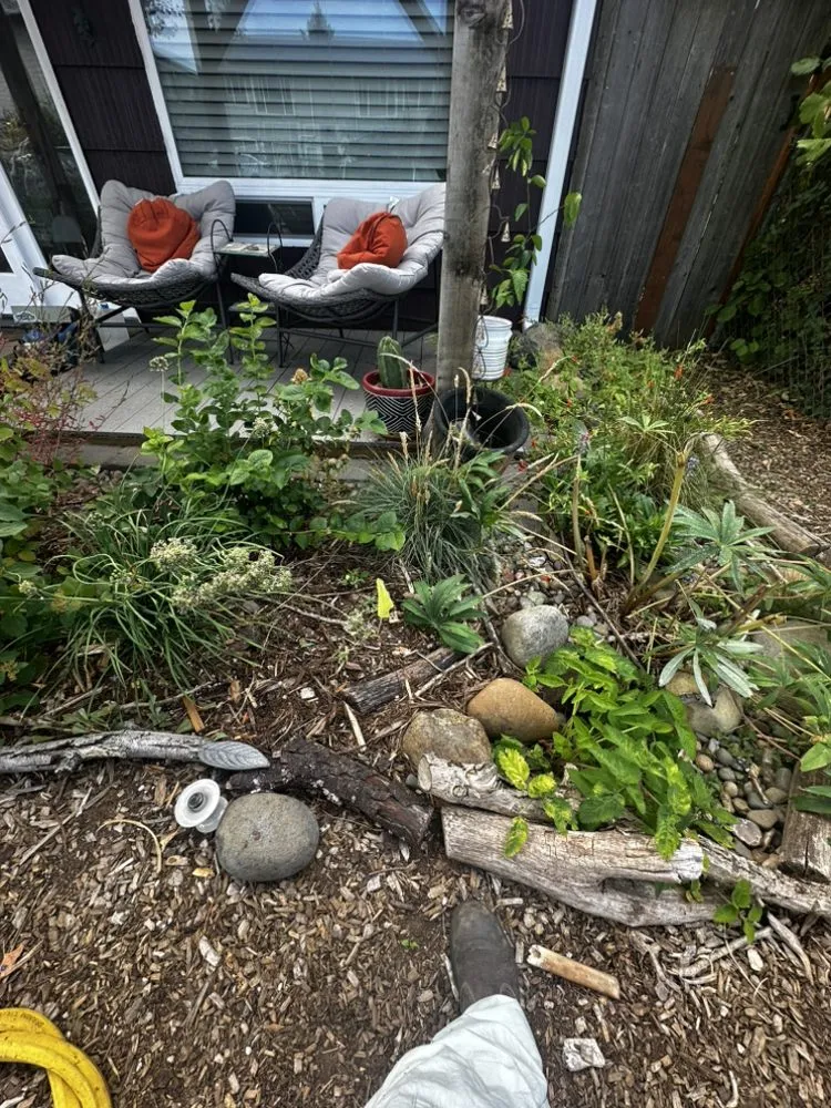 Professional residential landscaping in Portland, OR by Bloomsday Natives