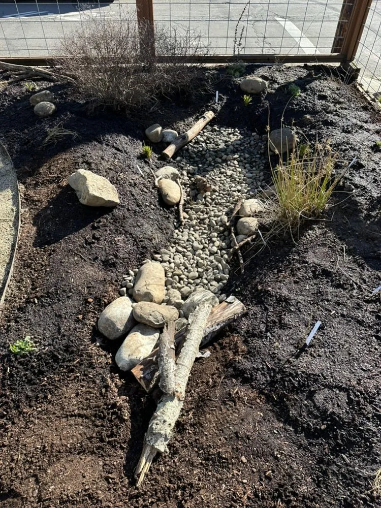 Expert landscape installation in Portland, OR by Bloomsday Natives