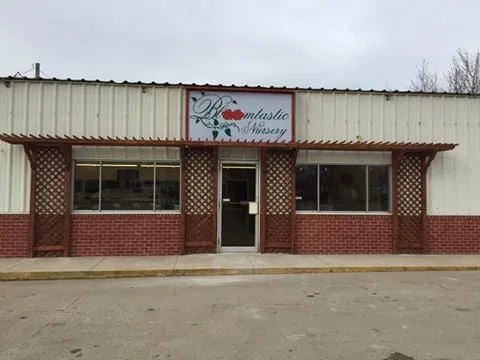 Local yard cleanup service experts serving Peoria, IL - Bloomtastic Nursery